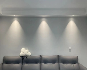 Basic Performance of LED Luminaires