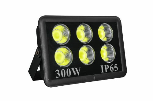 LED Flood Light OS-FL024