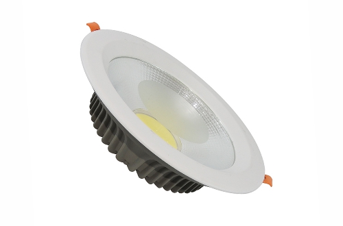LED Down Light OS-DL004P
