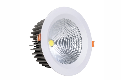 LED Down Light OS-DL019