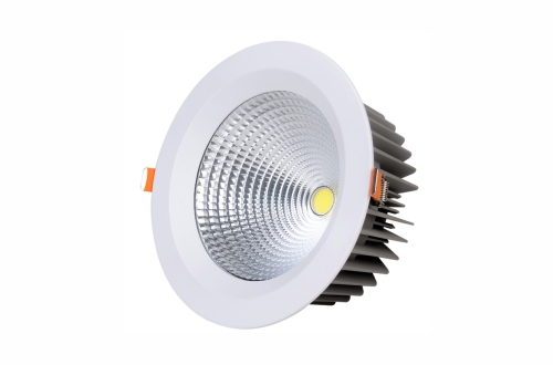 LED Down Light OS-DL020