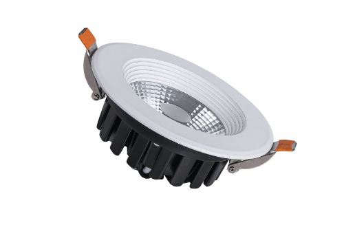 LED Down Light OS-DL025
