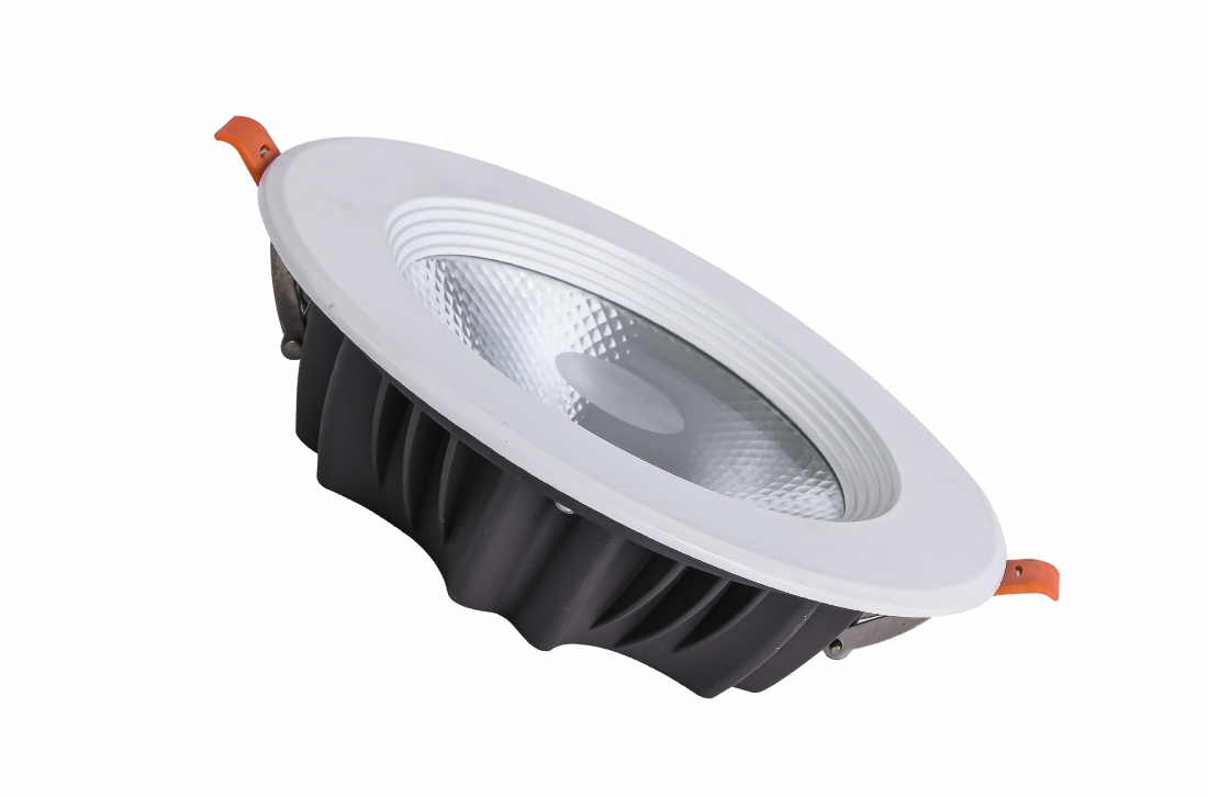 LED Down Light OS-DL032B
