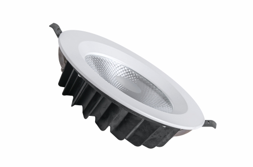 LED Down Light OS-DL989C